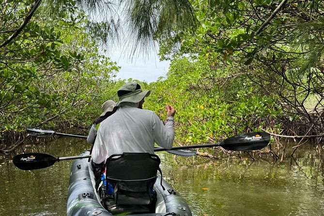 8-hour-jungle-tour-and-lagoon-passage-to-the-ocean-in-fort-pierce