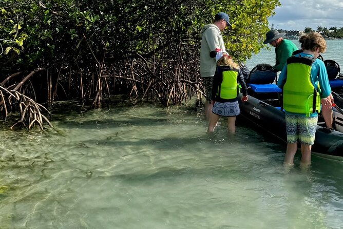 8-hour-jungle-tour-and-lagoon-passage-to-the-ocean-in-fort-pierce