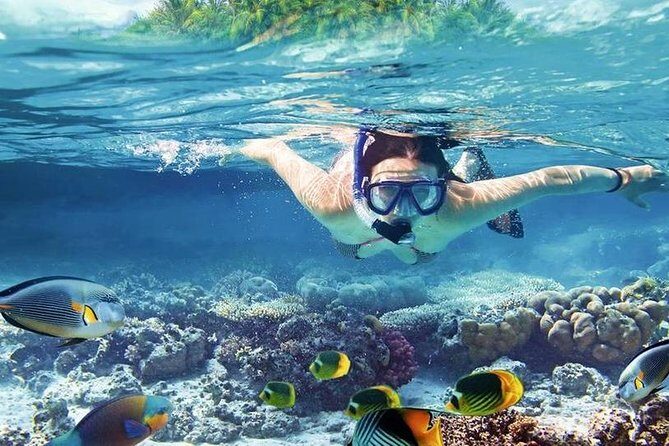 8-Hour Private Boat Charter Exclusive & Lunch Transfer -Hurghada - FAQ