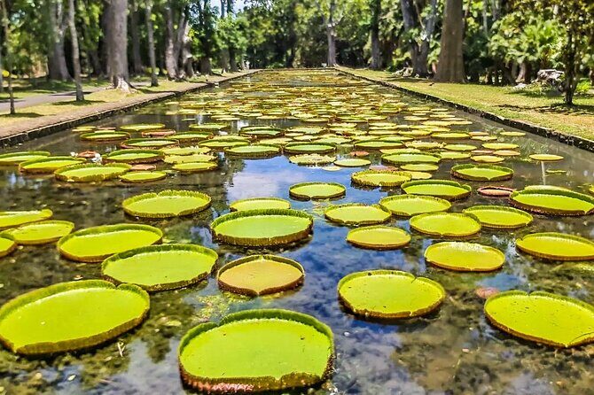 8-Hour Private City and North Tour in Mauritius - FAQ