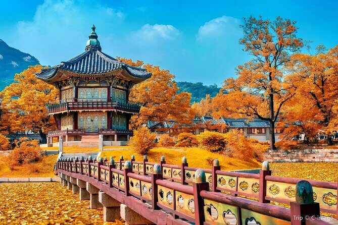 8 hour Private Tour Experience at Myeongdong by Car - Exploring Traditional Charm at Bukchon Hanok Village