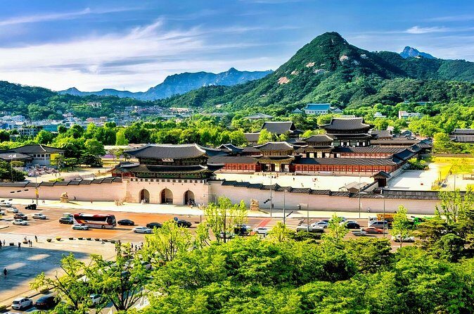 8 hour Private Tour Experience at Myeongdong by Car - Shopping and Street Food at Myeongdong