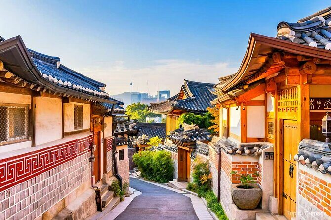 8 hour Private Tour Experience at Myeongdong by Car - Additional Details and Practical Tips