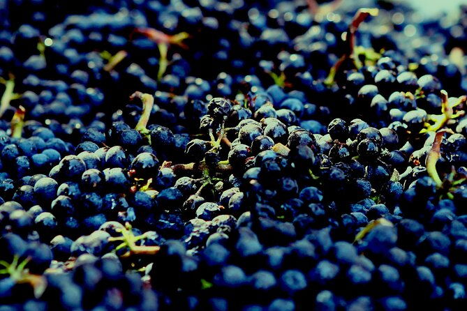 8-hour-private-tour-in-wine-country-from-san-francisco