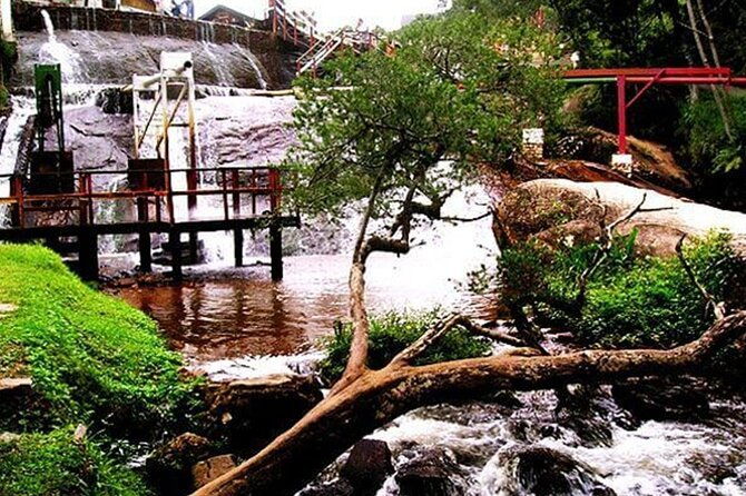 8-hour-private-tour-of-campos-do-jordao