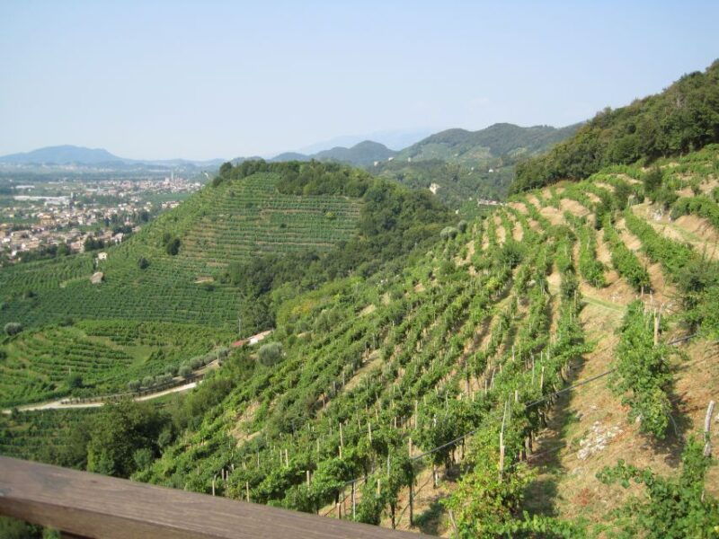 8-hour-prosecco-wine-and-tastings-tour-from-venice-or-padua