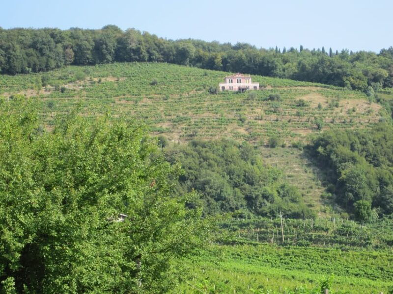 8-hour-prosecco-wine-and-tastings-tour-from-venice-or-padua