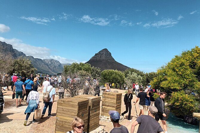 8-Hour Tour in Table Mountain Penguins and Cape of Good Hope - The Itinerary in Detail: What You Can Expect