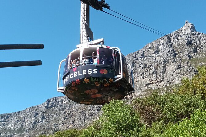 8-Hour Tour in Table Mountain Penguins and Cape of Good Hope - Who Should Book This?