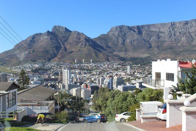 8-Hour Tour in Table Mountain Penguins and Cape of Good Hope - Final Thoughts