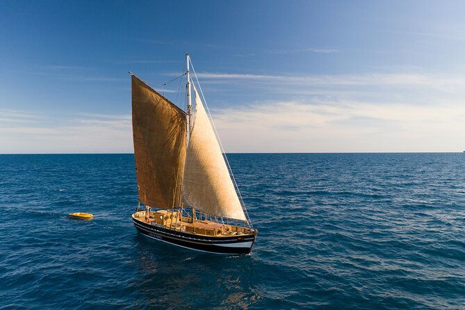 8-hour-whale-watching-in-barcelona