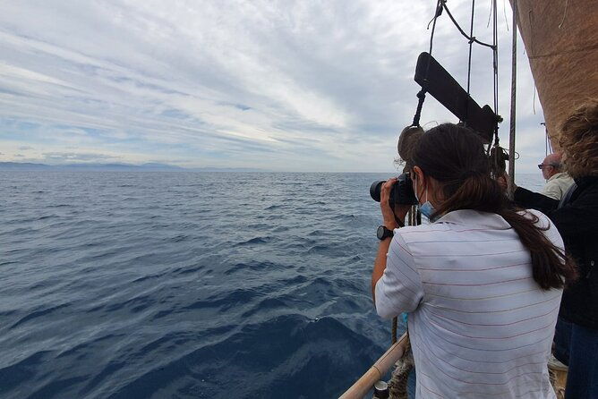 8-hour-whale-watching-in-barcelona