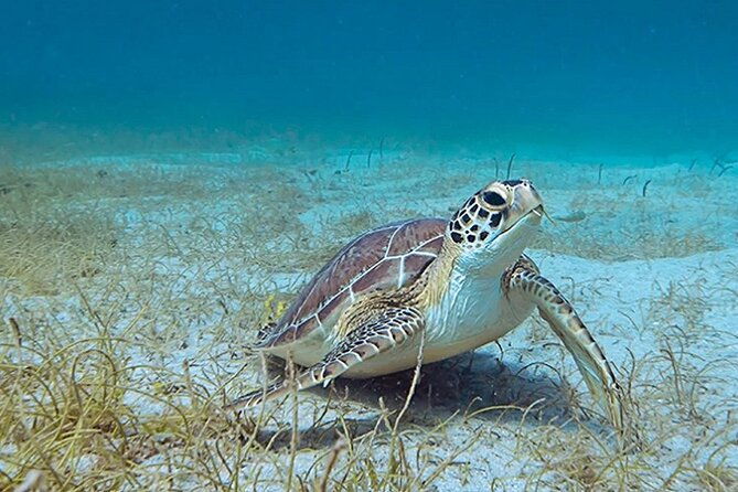 8-hours-27ft-dream-life-private-charter-in-nassau