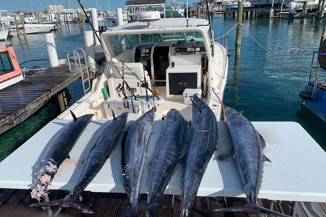 8-hours-38ft-reel-dreams-private-charter-nassau