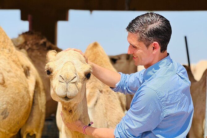 8 Hours Al Ain City Tour without lunch - Key Points