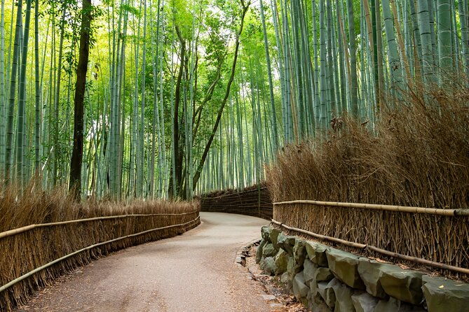 8-hours-arashiyama-monkey-park-ryoanji-and-kinkaku-ji-tour