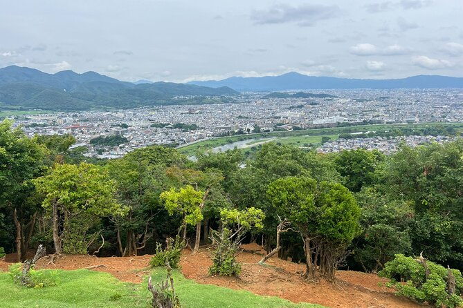 8-hours-arashiyama-monkey-park-ryoanji-and-kinkaku-ji-tour