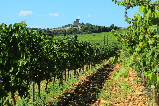 8-hours-group-tour-in-chateauneuf-du-pape-2