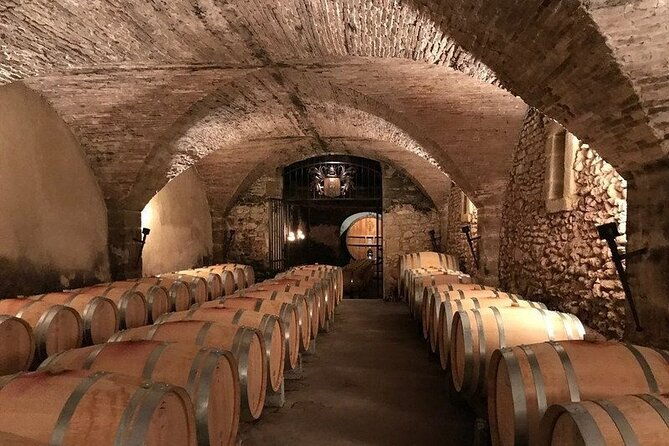 8-hours-group-tour-in-chateauneuf-du-pape