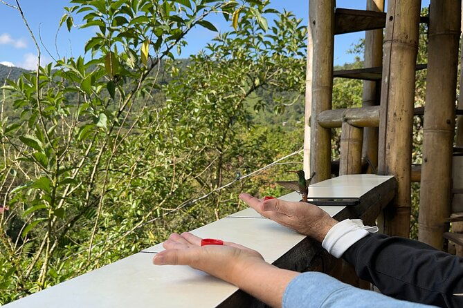 8-hours-mindo-cloud-forest-tour-from-quito-includes-lunch