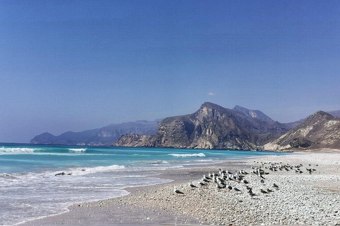 8 Hours of West Salalah Best | Private Tour - A Closer Look at the Itinerary