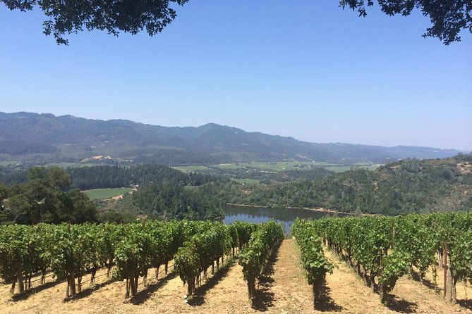 8-hours-private-limoup-to-8-pass-wine-tour-of-napa-valley-from-san-francisco-2