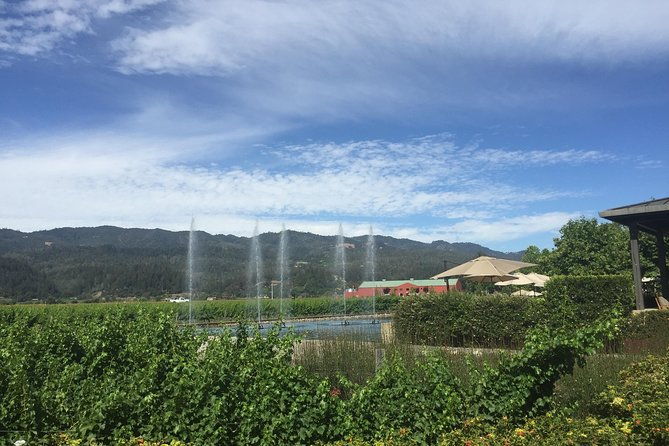 8-hours-private-limoup-to-8-pass-wine-tour-of-napa-valley-from-san-francisco