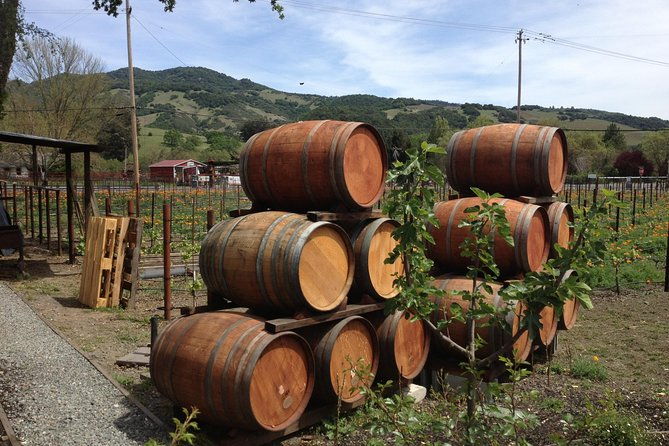 8-hours-private-suv-up-to-6-passengers-san-francisco-to-napa-valley-wine-tour