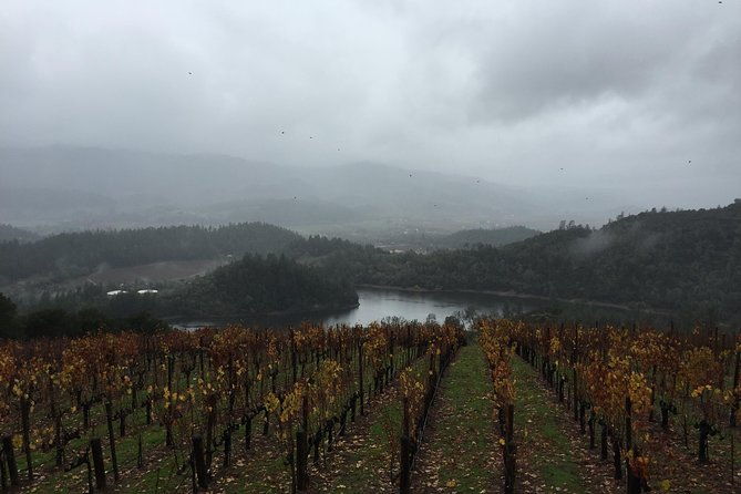 8-hours-private-suv-up-to-6-passengers-san-francisco-to-napa-valley-wine-tour