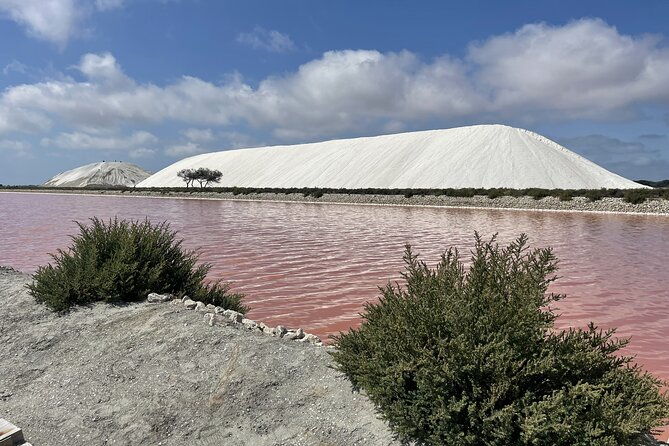 8-hours-visit-to-the-camargue-and-the-salins-daigues-mortes
