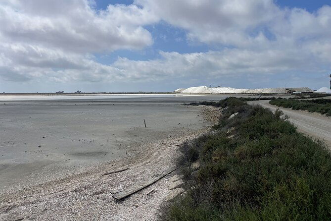 8-hours-visit-to-the-camargue-and-the-salins-daigues-mortes
