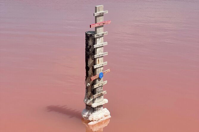 8-hours-visit-to-the-camargue-and-the-salins-daigues-mortes