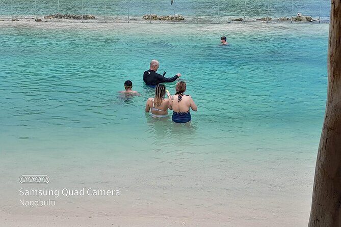 83 Islands Distillery & Sightseeing of Port Vila with Yumi Tours - FAQs