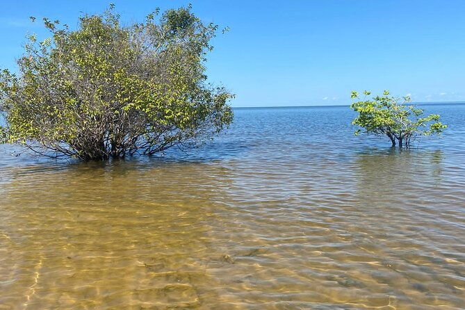 8day-expedition-of-scenic-beauty-and-amazon-traditional-culture-on-tapajos-river