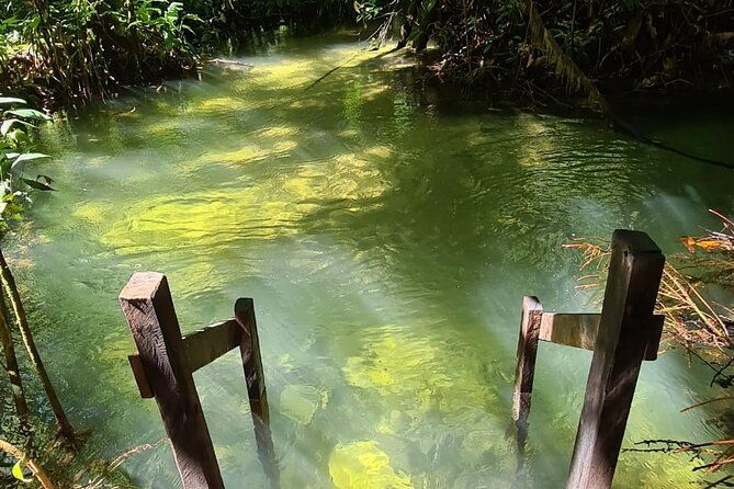 8day-expedition-of-scenic-beauty-and-amazon-traditional-culture-on-tapajos-river