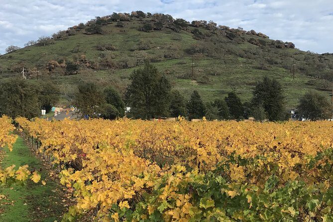 8hr Private Sonoma and Napa Wine Tour from San Francisco.XL SUV - FAQs