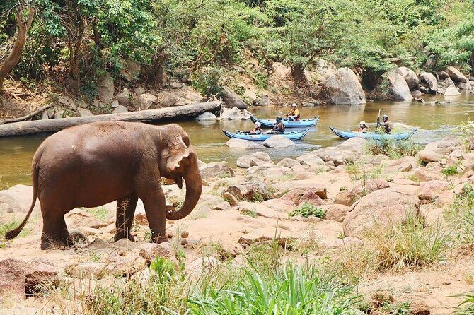 8KM Inflatable Kayaking Adventure - 8KM Inflatable Kayaking Adventure in Chiang Mai: A Detailed Review