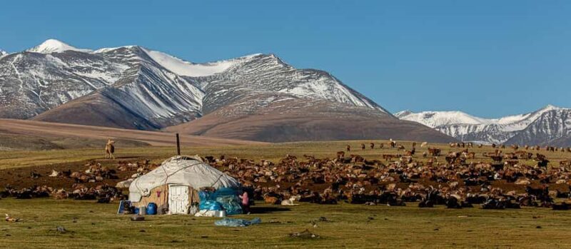 9-Day Altai Tavan Bogd National Park Tour - Exploring the 9-Day Altai Tavan Bogd National Park Tour