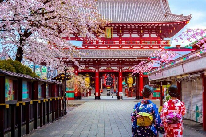 9 Day Best of Japan Cherry Blossom Small Group Tour 2026 - Key Points