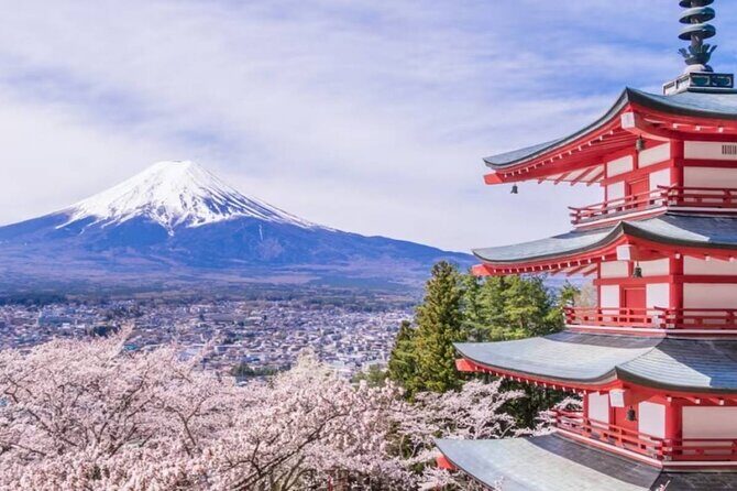 9 Day Best of Japan Cherry Blossom Small Group Tour 2026 - FAQ