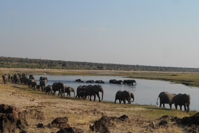 9 Day Best Of Northern Botswana & Victoria Falls - Mix of WildCamping & Lodges - Who Is This Tour Best For?