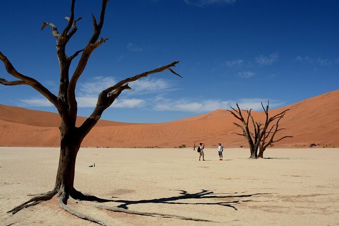 9 Day Canyons, Dunes & Wildlife Camping and Lodge Safari - Exploring the Itinerary in Detail