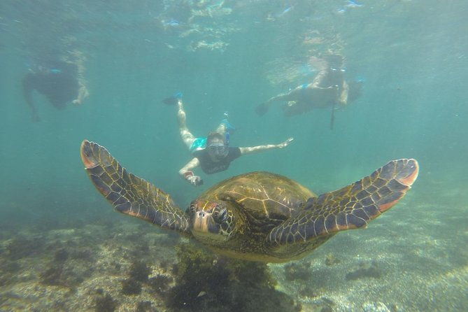 9-day-colonial-quito-galapagos-island-hopping