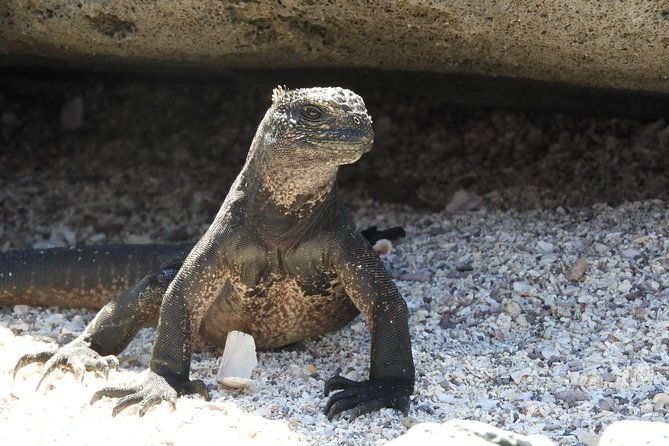 9-day-colonial-quito-galapagos-island-hopping