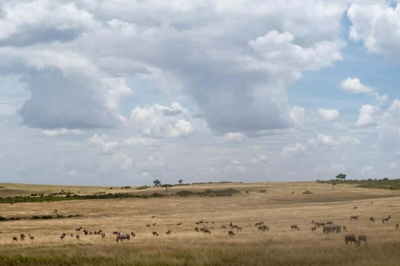 9-Day Elewana Luxury Nairobi Amboseli Meru & Mara Fly In - Key Points
