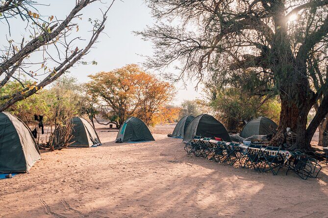 9 Day Etosha, Skeleton Coast and Sossusvlei Camping and Lodge Safari - Final Thoughts
