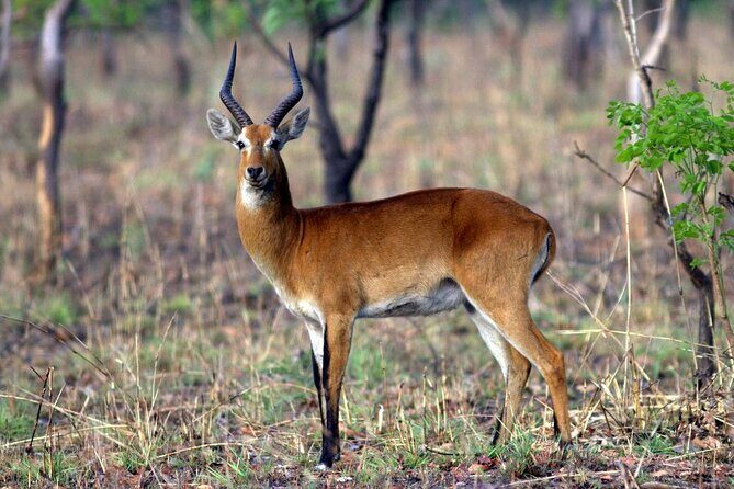 9 Day Ghana Wildlife and Culture Tour - Final Thoughts