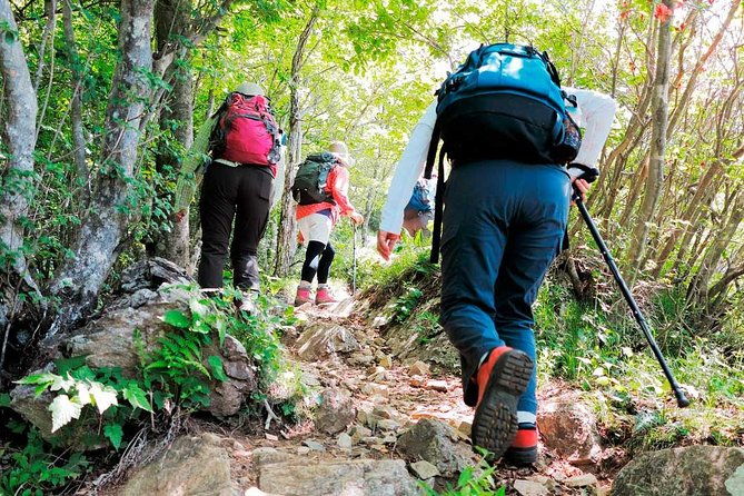 9-day-inca-trail-and-titicaca-lake-in-group-service