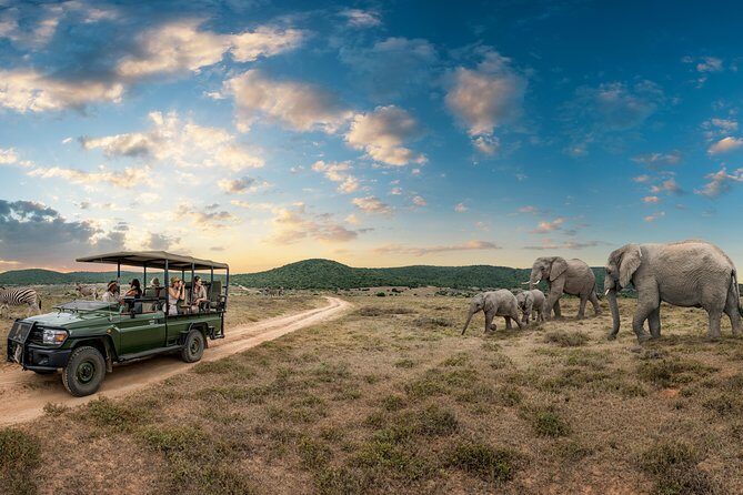 9 day Luxury Kruger Park Safari & Cape Town Tour - An In-Depth Look at the Tour Experience