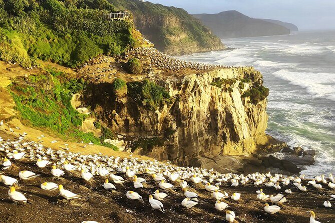 9 Day South to North Island NZ Private Tour from Queenstown - An Overview of the Tour Experience